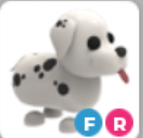 FR DALMATIAN – Adopt Me - FAST DELIVERY & TRUSTED