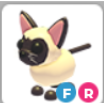FR SIAMESE – Adopt Me - FAST DELIVERY & TRUSTED