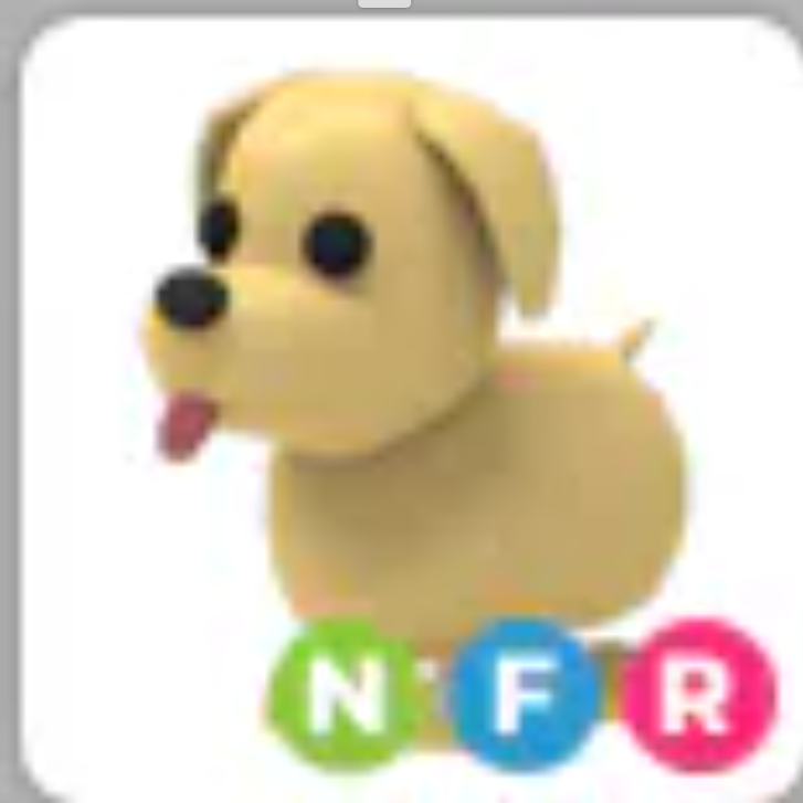 💗DOG | NFR | Fast Delivery 💗