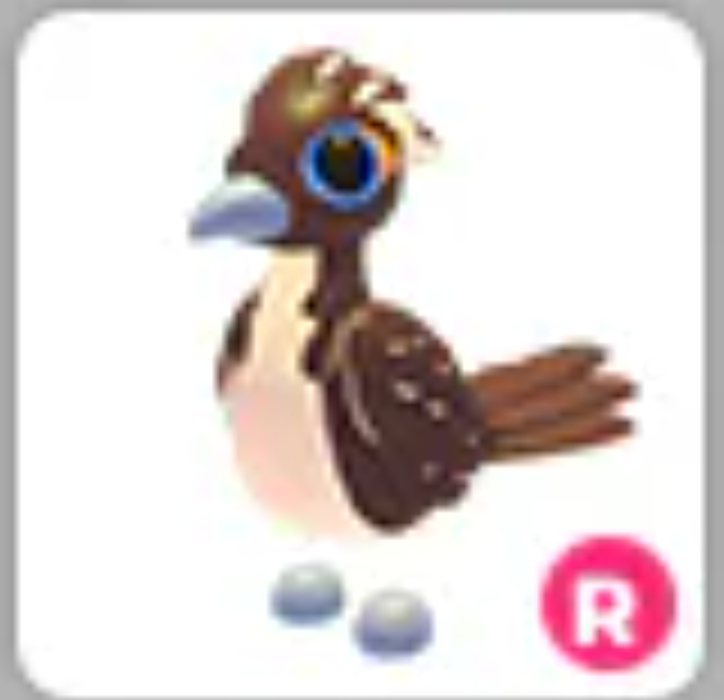 💗 Roadrunner | R | Fast Delivery 💗