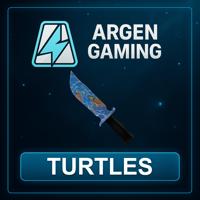Murder Mystery 2 Turtles