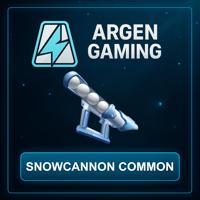 Murder Mystery 2 Snowcannon Common