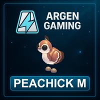 Adopt Me Peachick M
