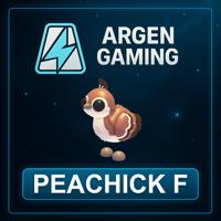 Adopt Me Peachick F