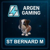 Adopt Me St Bernard M