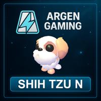Adopt Me Shih Tzu N