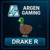 Adopt Me Drake R