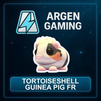 Adopt Me Tortoiseshell Guinea Pig FR
