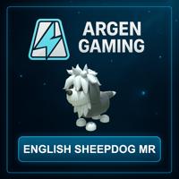 Adopt Me English Sheepdog MR