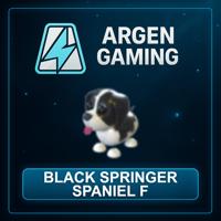 Adopt Me Black Springer Spaniel F