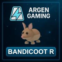 Adopt Me Bandicoot R