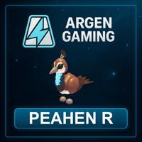Adopt Me Peahen R