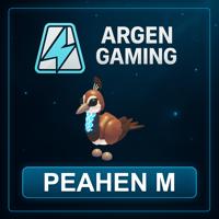 Adopt Me Peahen M