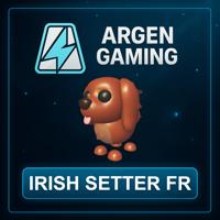 Adopt Me Irish Setter FR