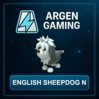 Adopt Me English Sheepdog N