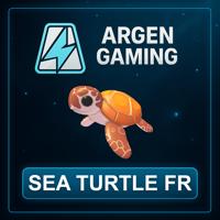 Adopt Me Sea Turtle FR