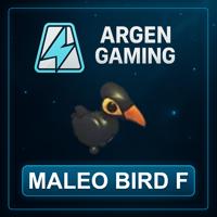 Adopt Me Maleo Bird F