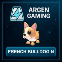 Adopt Me French Bulldog N