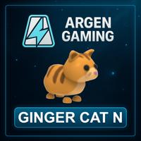Adopt Me Ginger Cat N