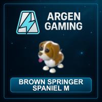 Adopt Me Brown Springer Spaniel M