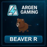 Adopt Me Beaver R