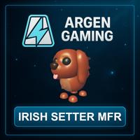 Adopt Me Irish Setter MFR