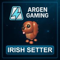 Adopt Me Irish Setter