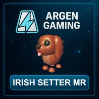 Adopt Me Irish Setter MR