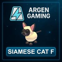 Adopt Me Siamese Cat F