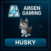 Adopt Me Husky