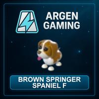 Adopt Me Brown Springer Spaniel F