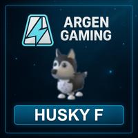 Adopt Me Husky F
