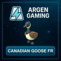 Adopt Me Canadian Goose FR