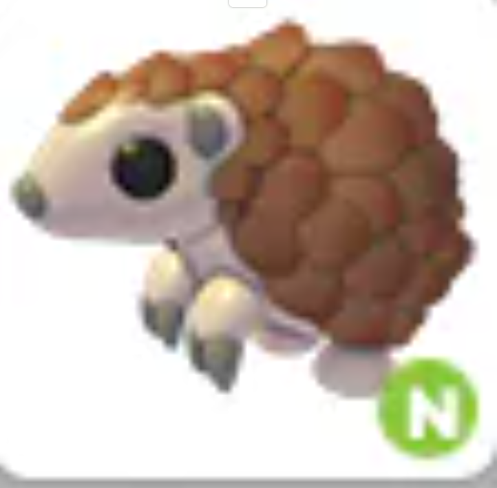💗 Pangolin | N | Fast Delivery 💗