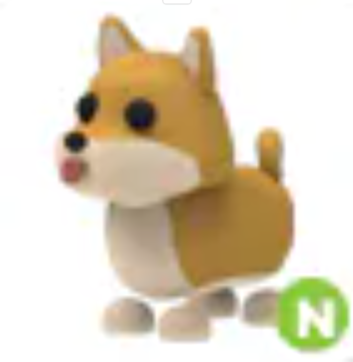 💗 Shiba Inu | N | Fast Delivery 💗