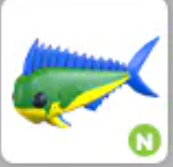 Mahi Mahi | N | Fast Delivery