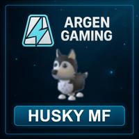 Adopt Me Husky MF