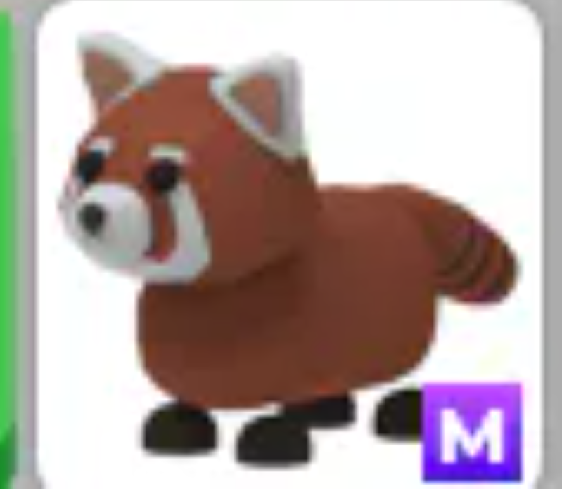 💗Red Panda | M | Fast Delivery 💗