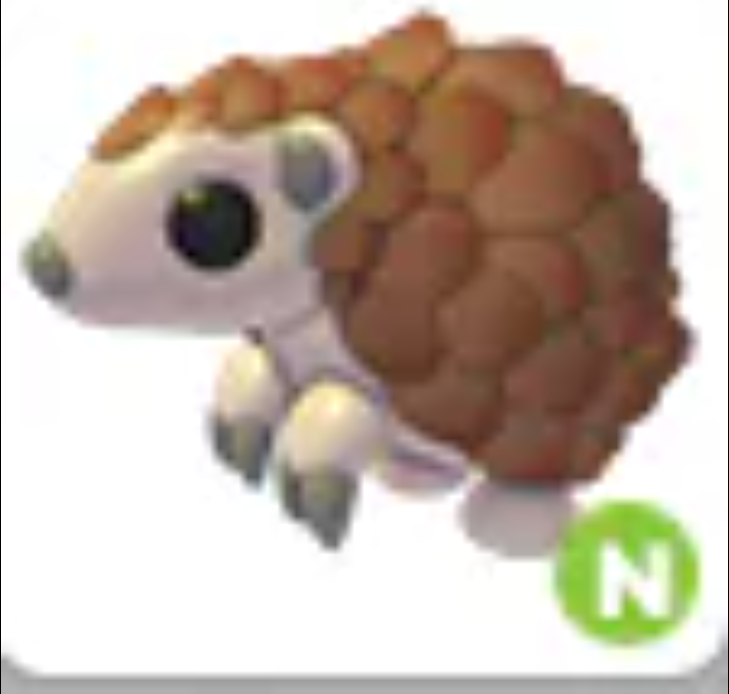 💗 Pangolin | N | Fast Delivery 💗