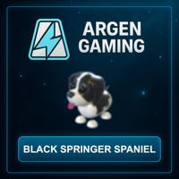 Adopt Me Black Springer Spaniel