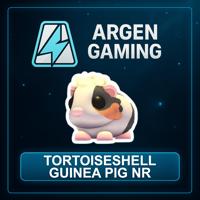 Adopt Me Tortoiseshell Guinea Pig NR