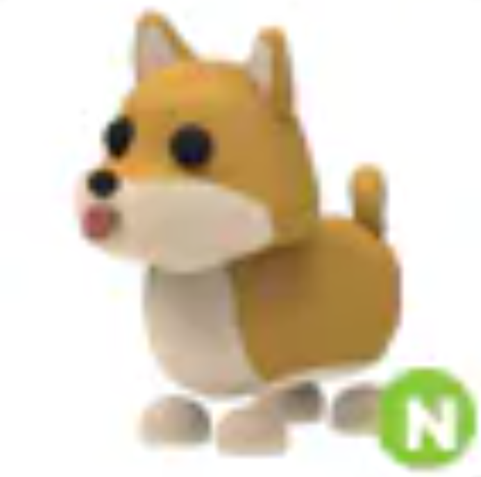 💗 Shiba Inu | N | Fast Delivery 💗