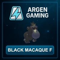 Adopt Me Black Macaque F