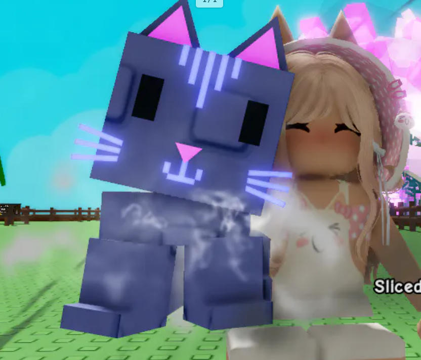 Windy Moon Cat | Random Kg | Fast Delivery (k06)