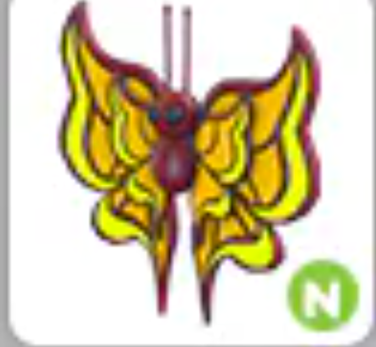 💗 Amber Butterfly | N | Fast Delivery 💗