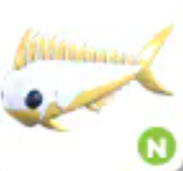 💗 Gold Mahi Mahi | N | Fast Delivery 💗