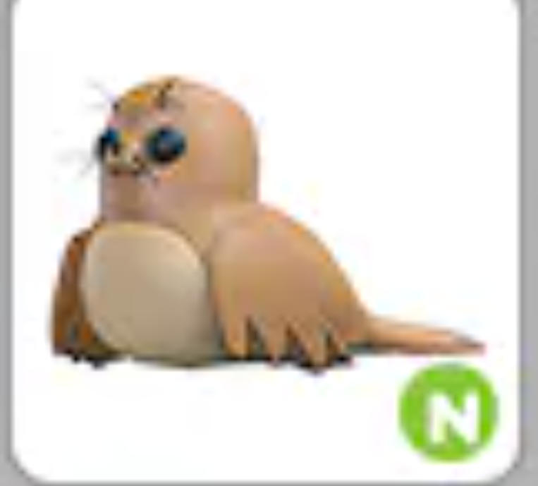 💗 Galapagos Sea Lion | N | Fast Delivery 💗