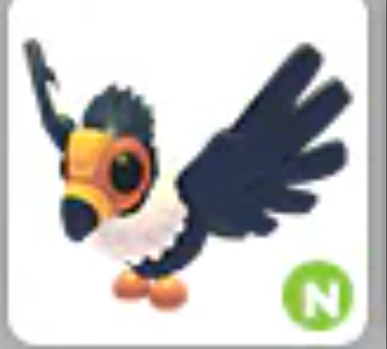 💗 California Condor | N | Fast Delivery 💗