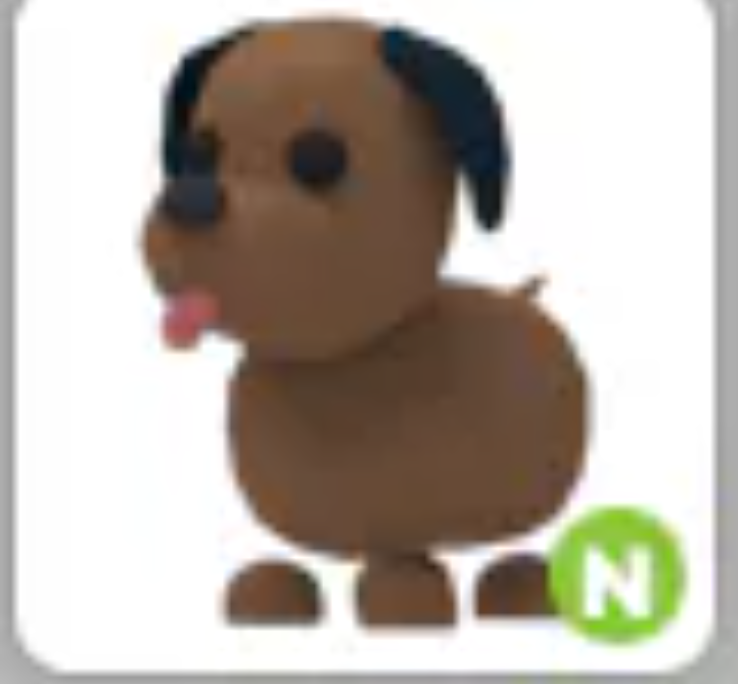 💗 Chocolate Labrador | N | Fast Delivery 💗