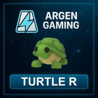 Adopt Me Turtle R
